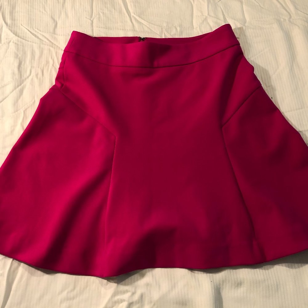 Pink Skater Skirt